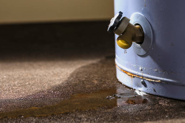 Best Emergency water damage restoration  in Blawnox, PA
