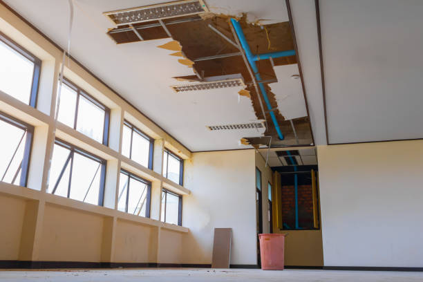 Best Residential water damage restoration  in Blawnox, PA