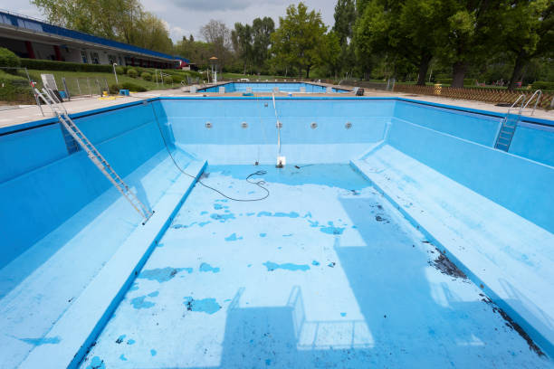 Best Water damage cleanup near me  in Blawnox, PA