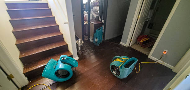 Best Fire Damage Restoration  in Blawnox, PA