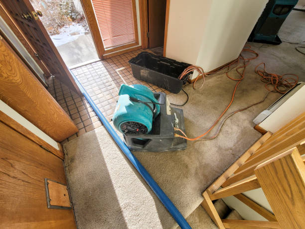 Best Professional water damage repair  in Blawnox, PA