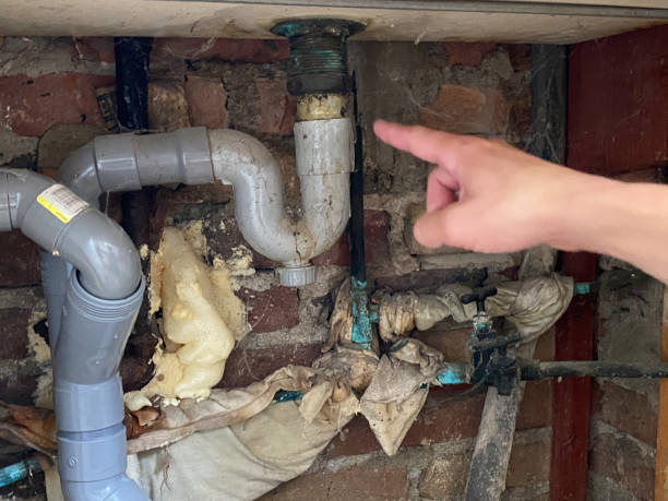 Best Water damage restoration specialists  in Blawnox, PA