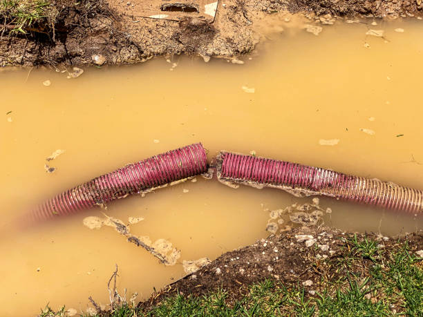 Best Water damage restoration near me  in Blawnox, PA