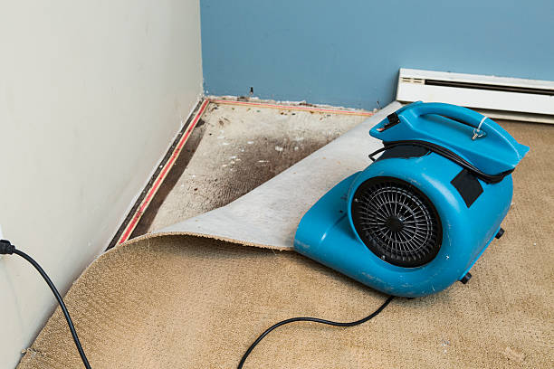 Best Commercial water damage restoration  in Blawnox, PA
